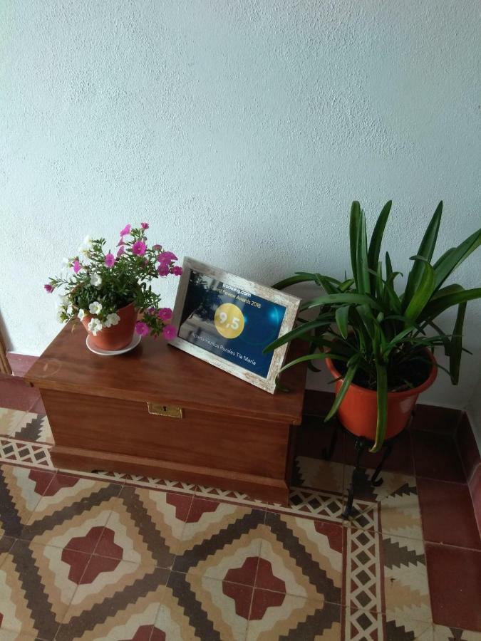 Apartamentos Rurales Tia Maria Mata de Alcántara Εξωτερικό φωτογραφία